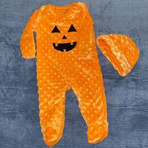 Chick Pea / 3-6 months